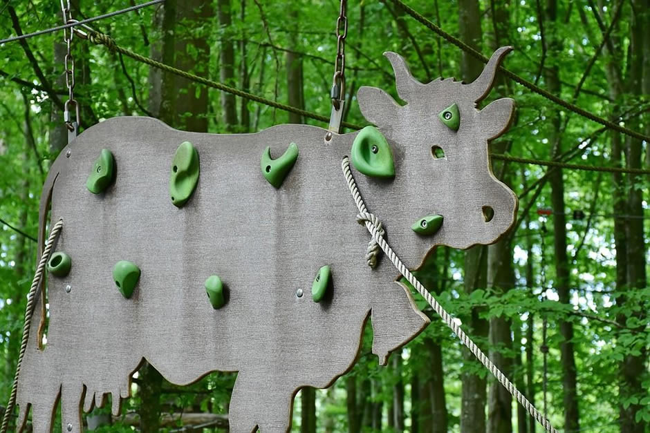 Weekend per bambini - Parchi avventura Torino