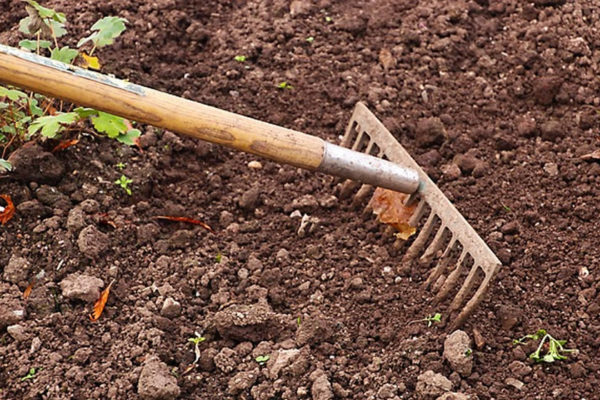 Migliori attrezzi per coltivare orto