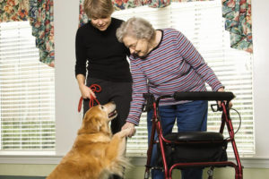 Donna anziana con cane terapia - miniatura