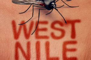 Febbre West Nile