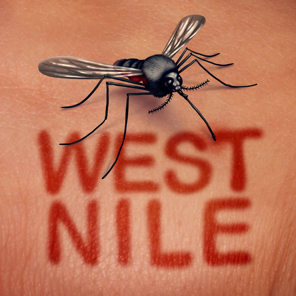 Febbre West Nile