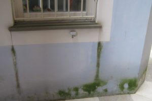 umidità di risalita