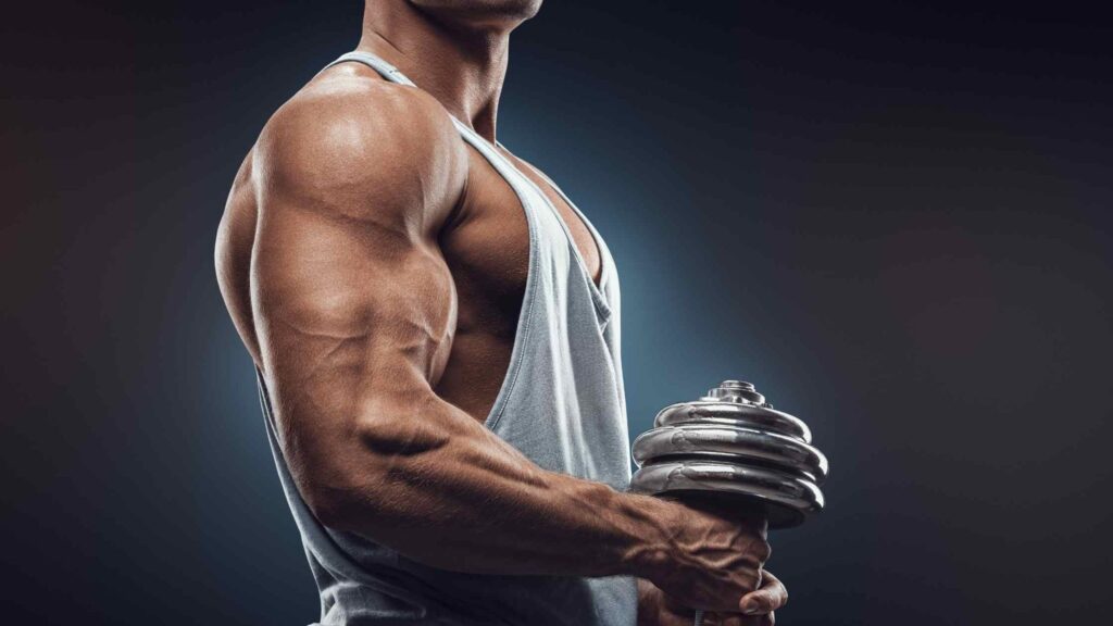 allenamento con i pesi - bicipiti