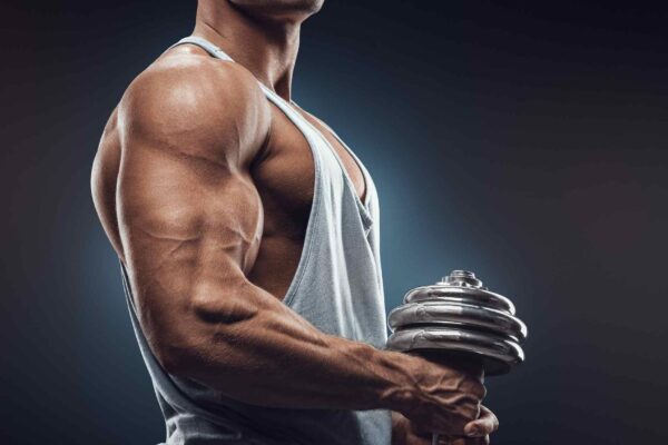 allenamento con i pesi - bicipiti