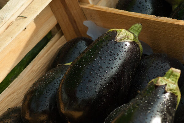 melanzane